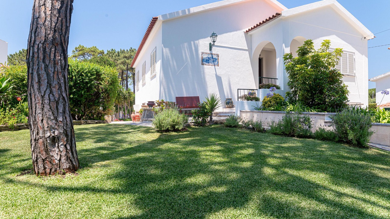 Photo of Outdoor in Colares