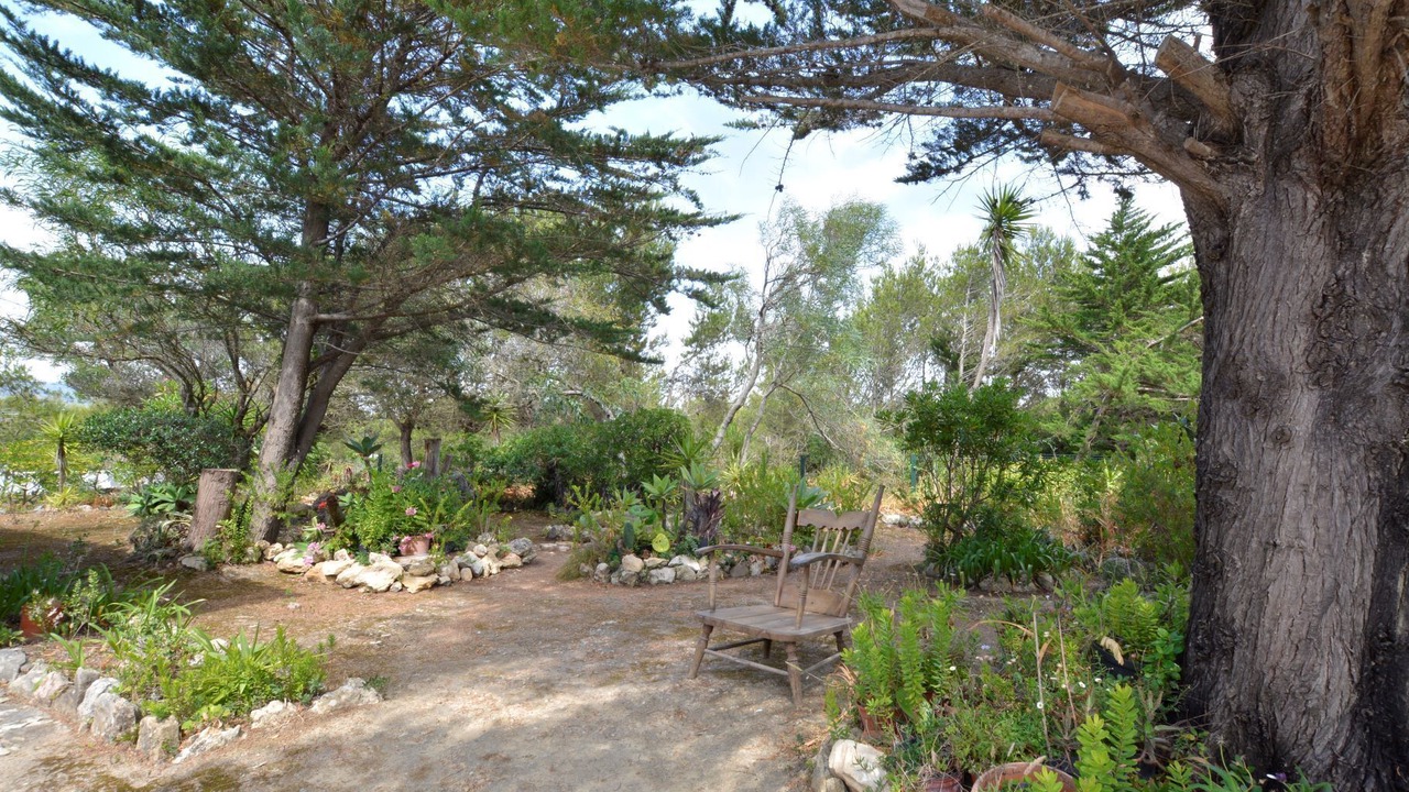 Photo of Outdoor in Cascais
