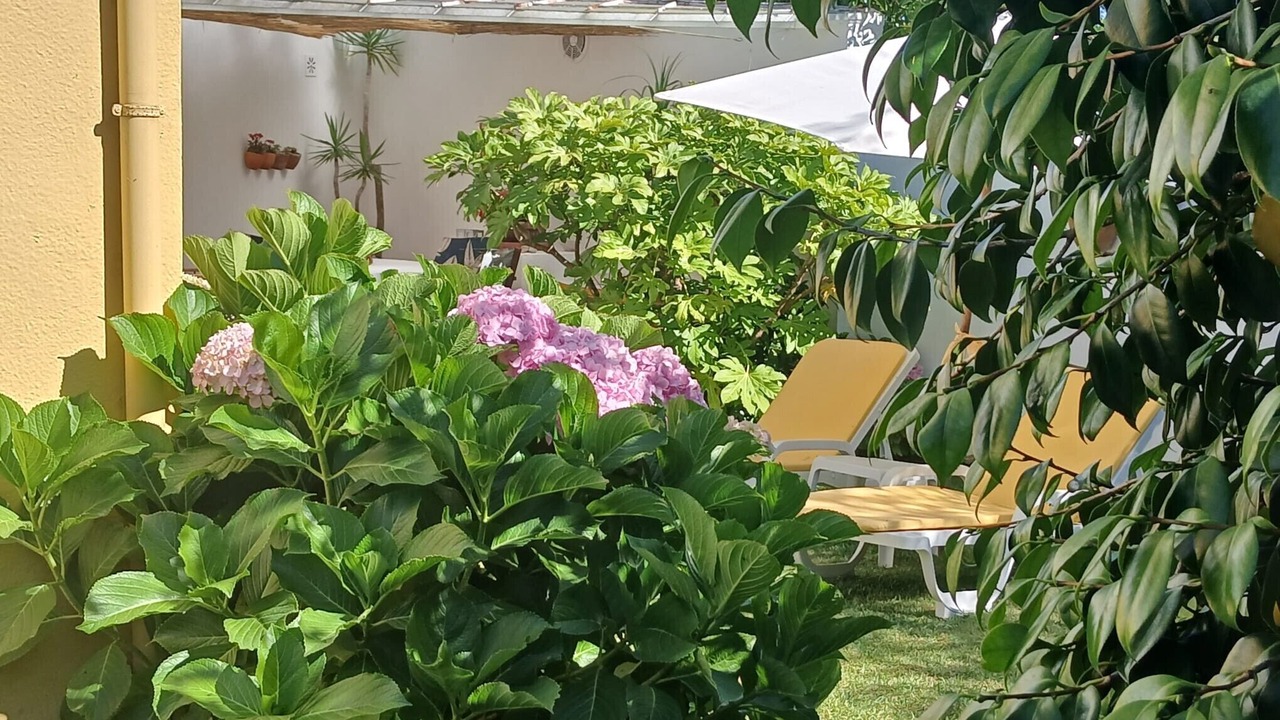 Photo of Outdoor in Torreira