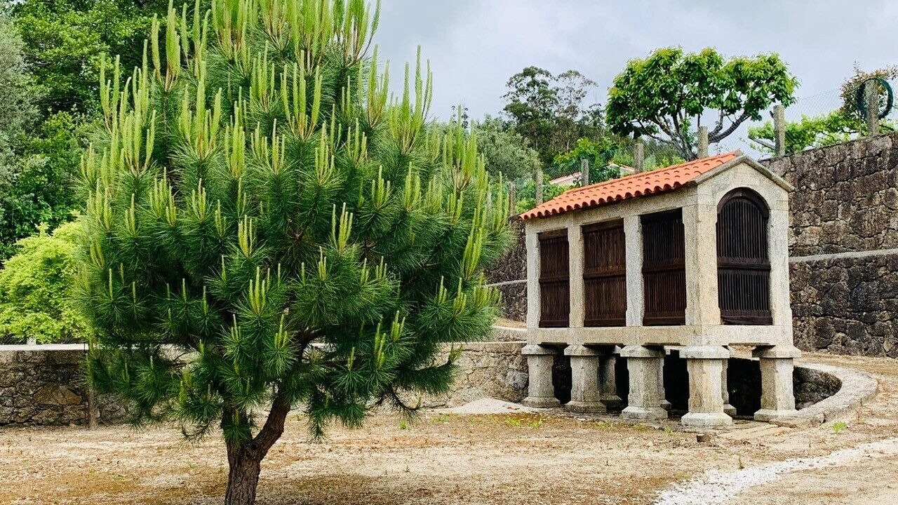 Photo of Outdoor in Esposende
