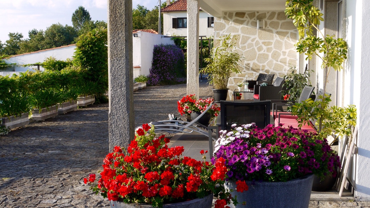 Photo of Patio Balcony in Rubiaes