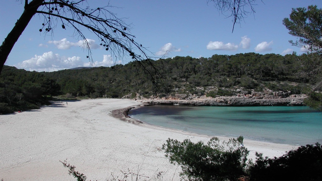 Photo of Others in Cala d'Or