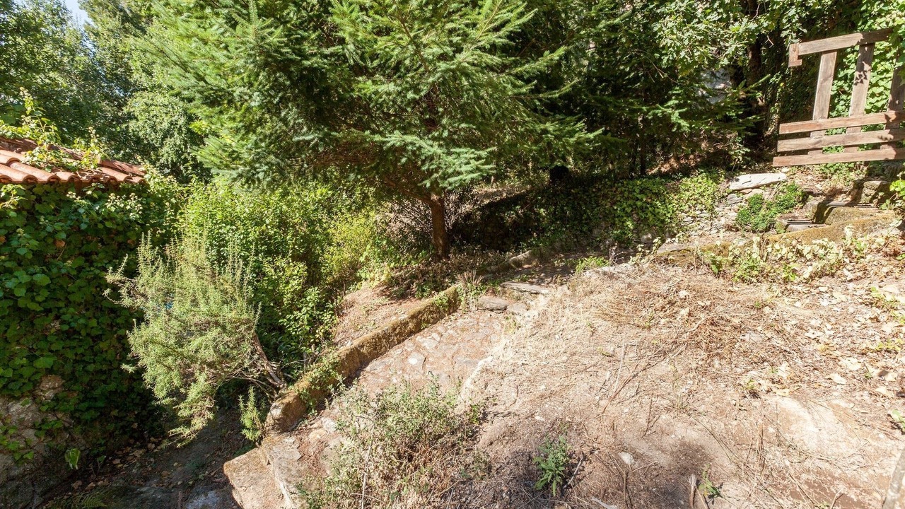Photo of Outdoor in Covas