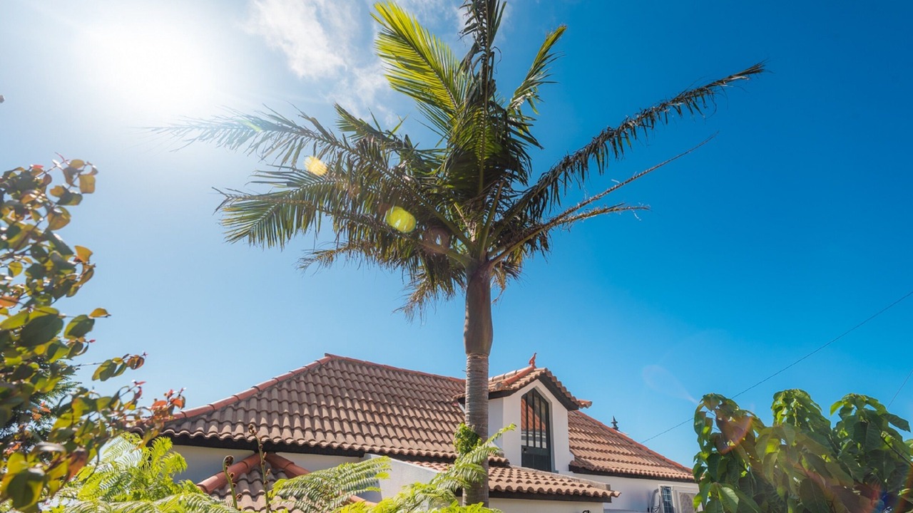 Photo of Outdoor in Calheta