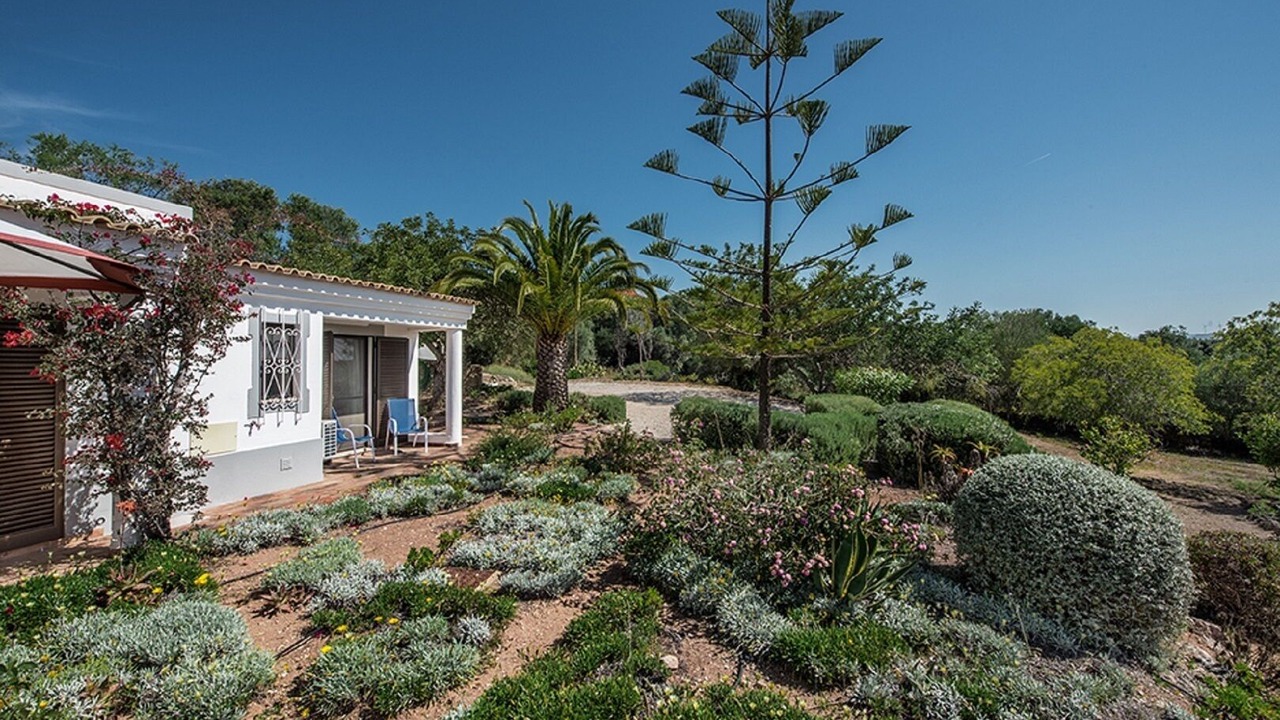 Photo of Outdoor in Silves