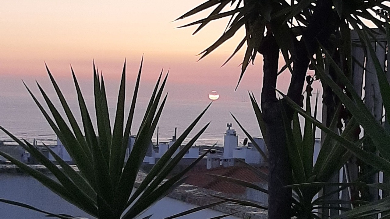 Photo of Outdoor in Monserrate