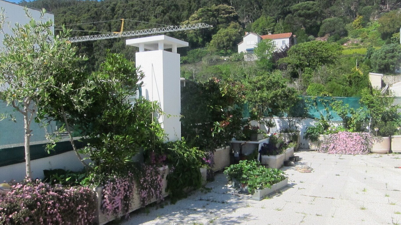 Photo of Outdoor in Monserrate