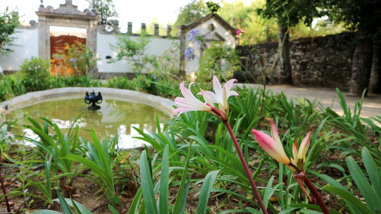 Photo of Outdoor in Cabeceiras de Basto