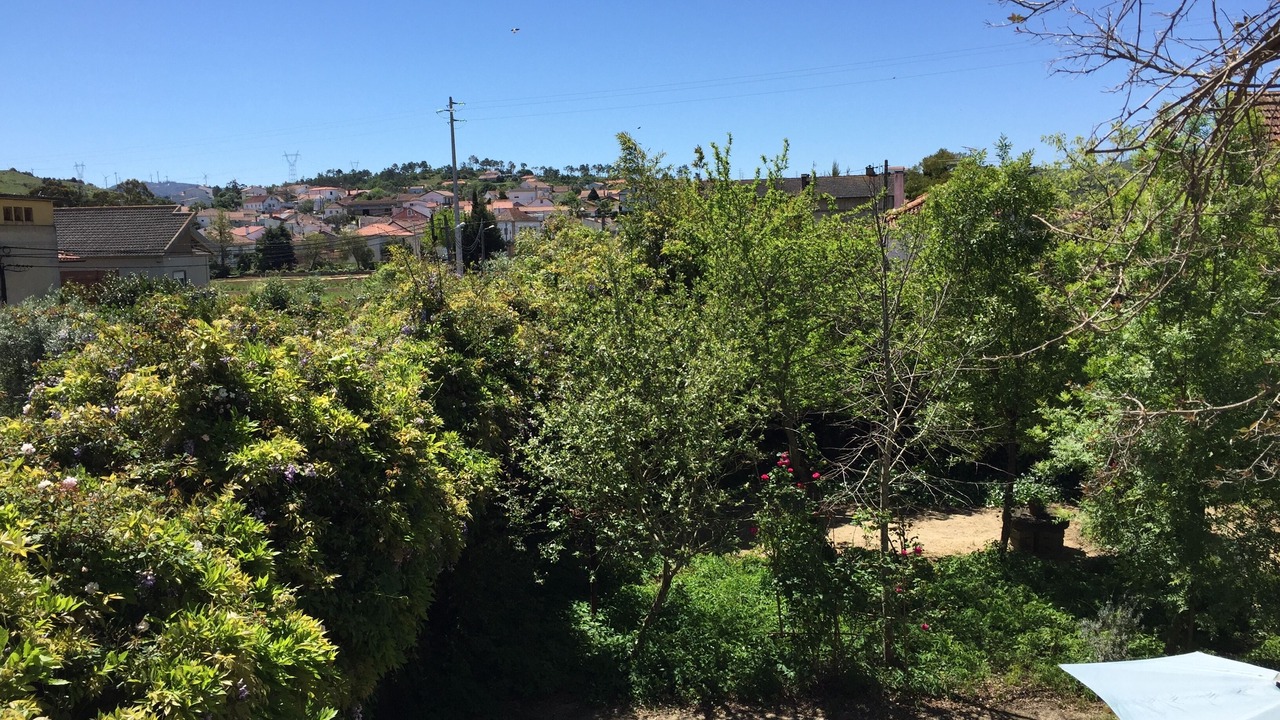 Photo of Outdoor in Leiria