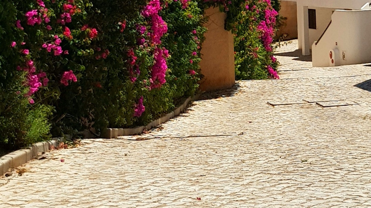 Photo of Outdoor in Alpouvar