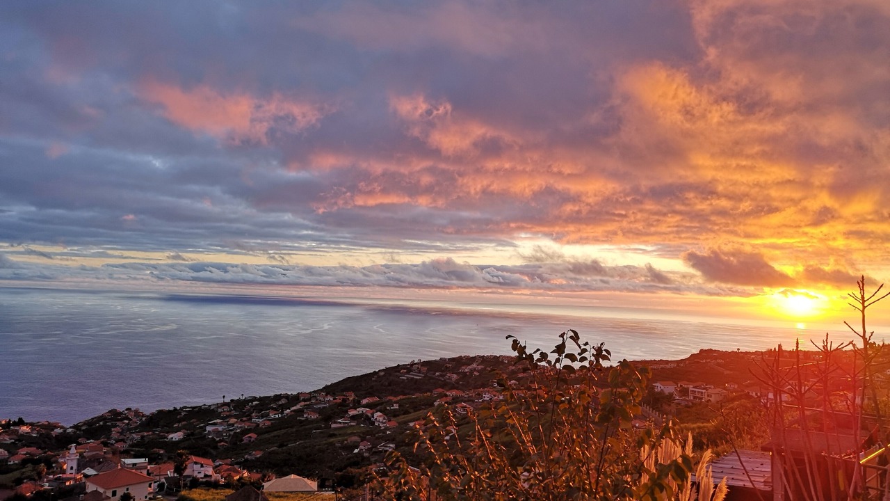 Photo of Others in Canhas