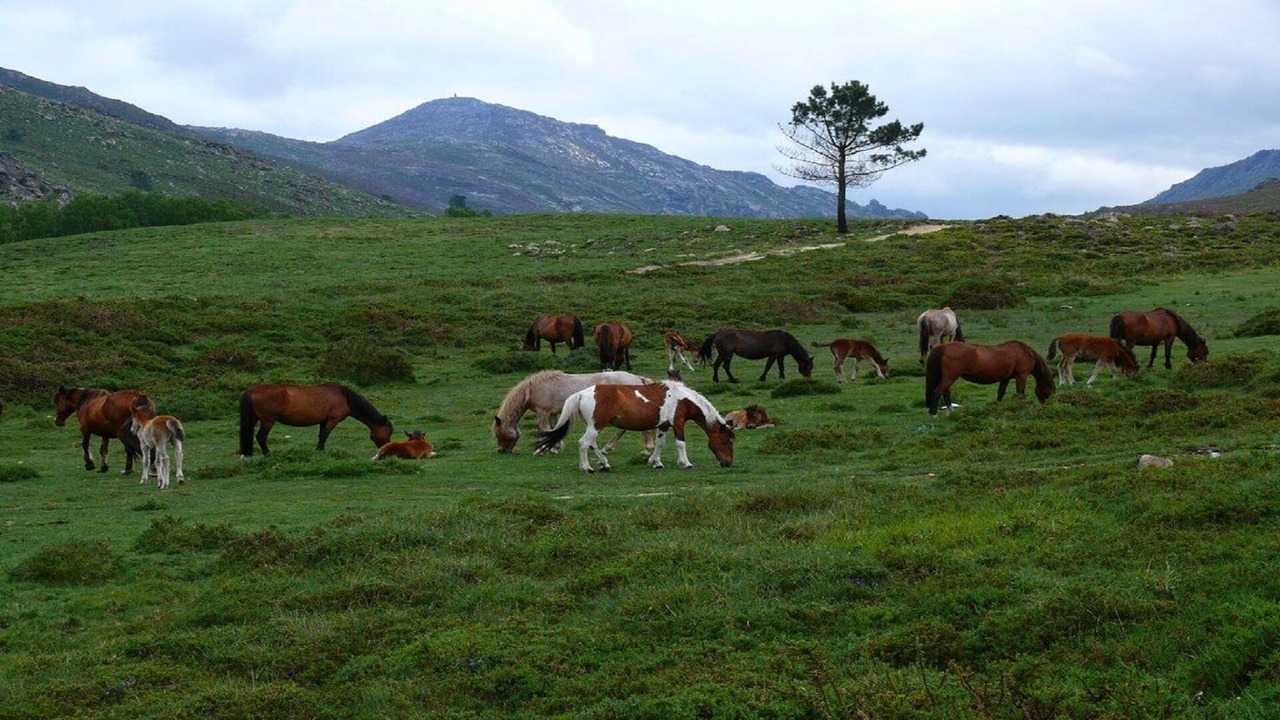 Photo of Outdoor in Ponte da Barca