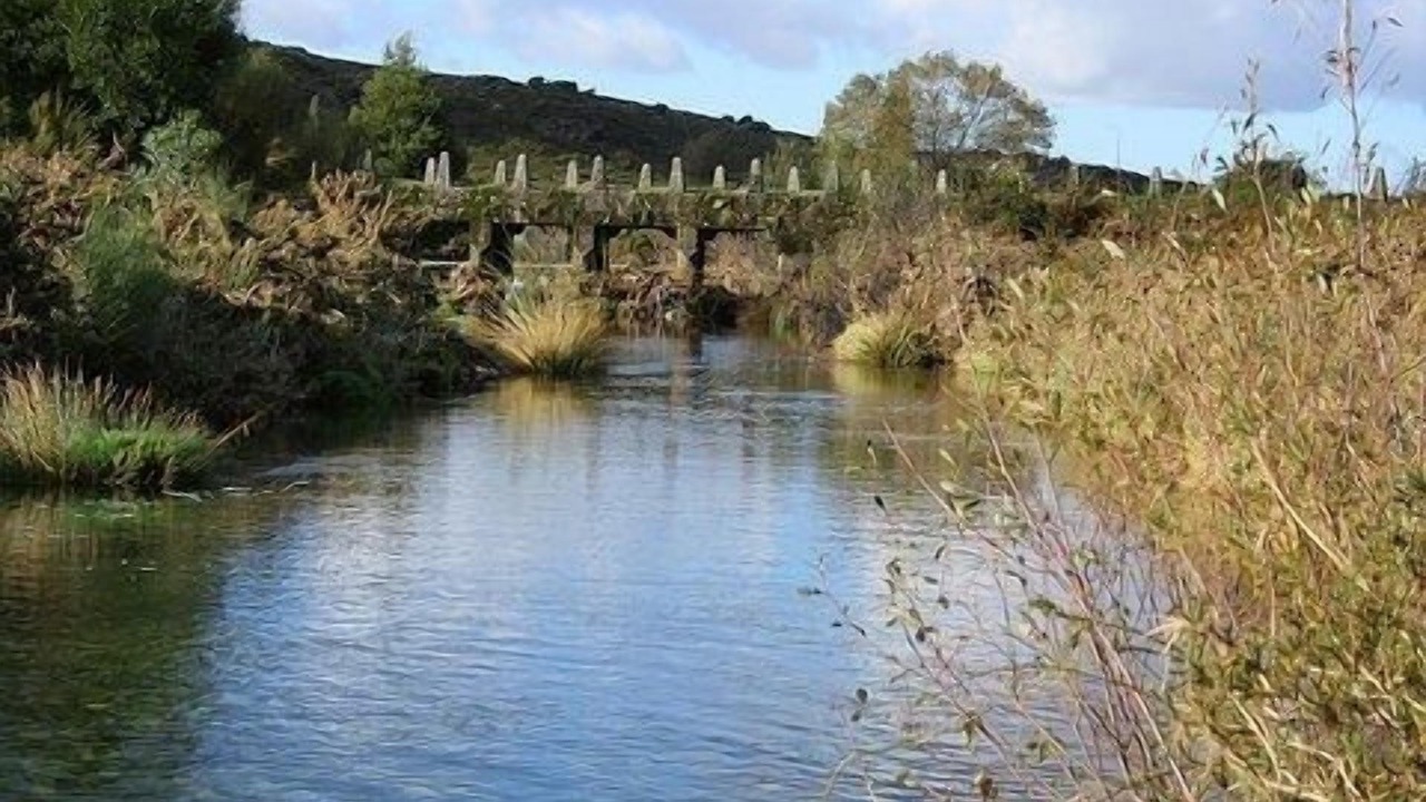 Photo of Outdoor in Covas