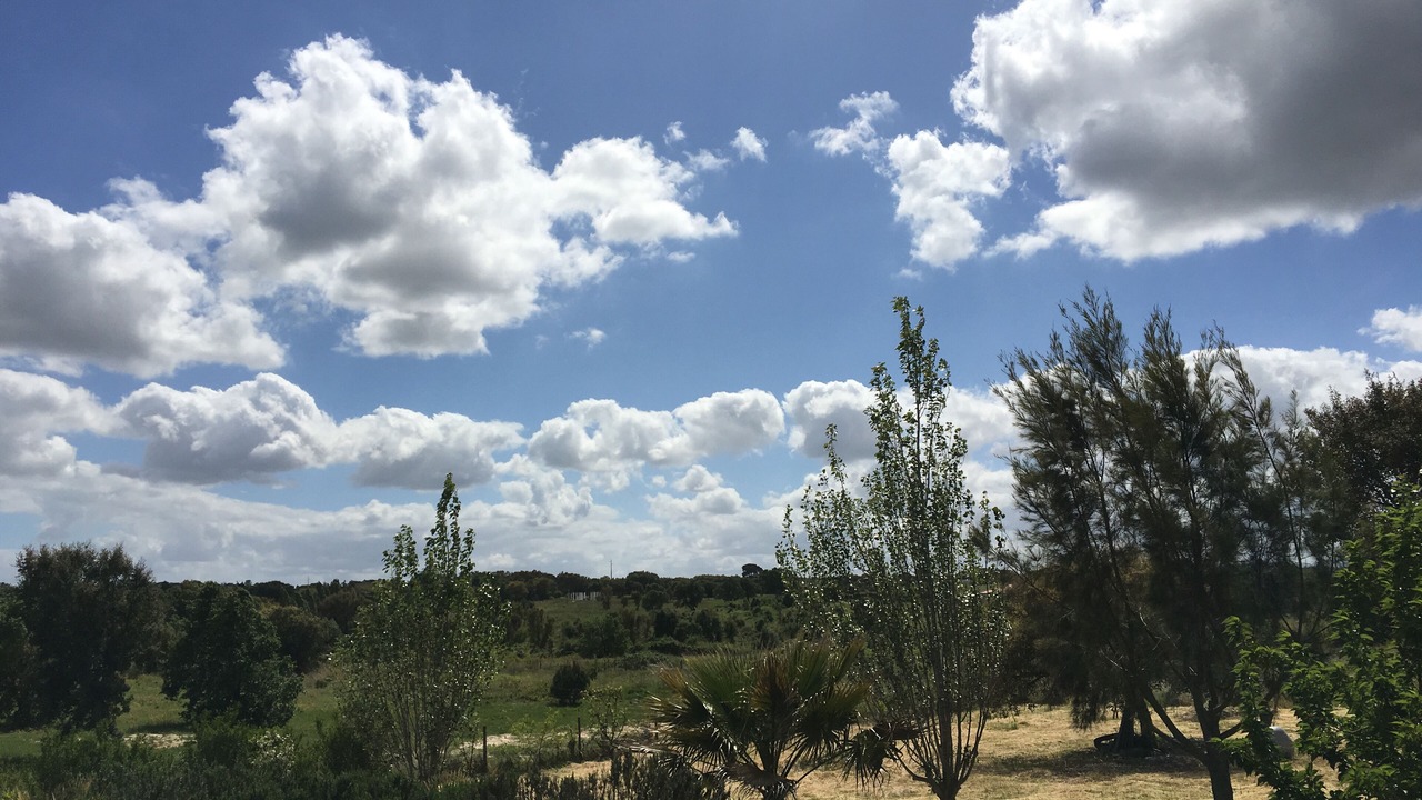 Photo of Outdoor in Povoa da Isenta