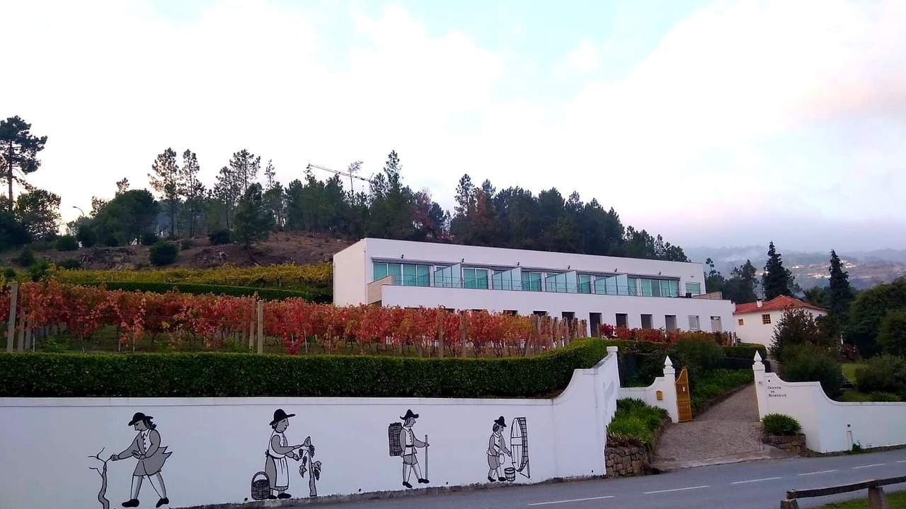 Photo of Outdoor in Santa Cruz do Douro