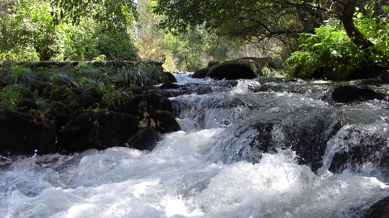 Photo of Outdoor in Panque