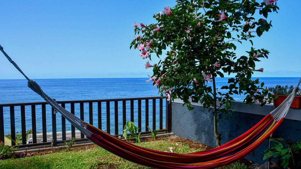 Photo of Outdoor in Sao Vicente
