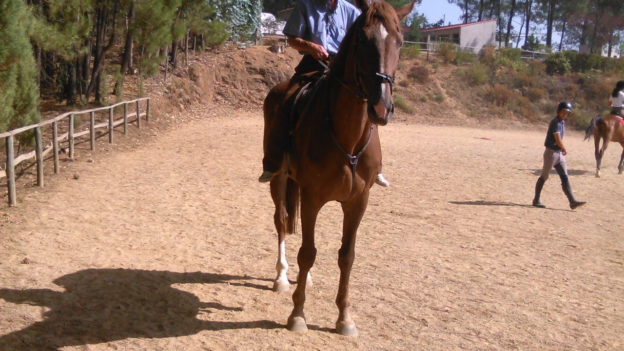 Photo of Others in Figueiro dos Vinhos