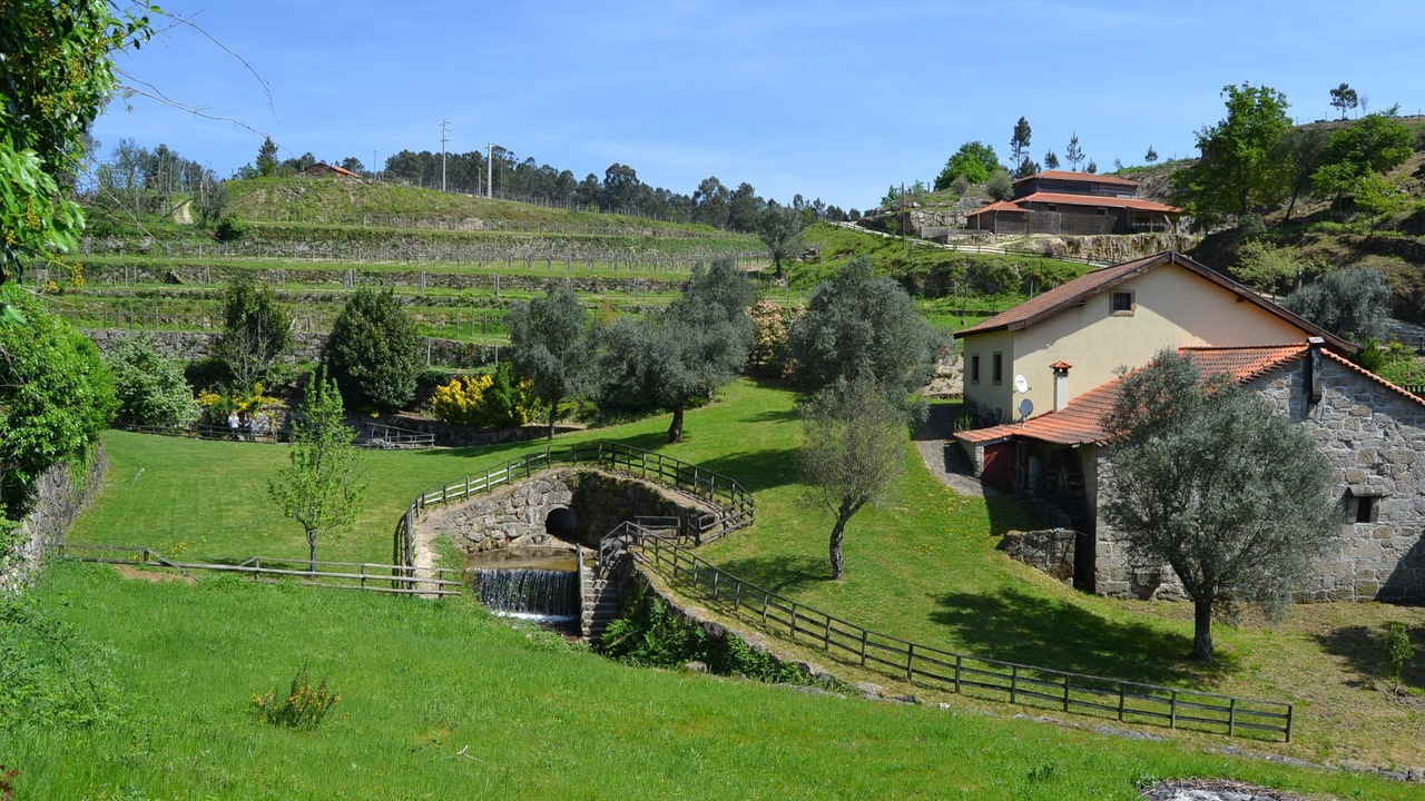 Photo of Outdoor in Cabeceiras de Basto