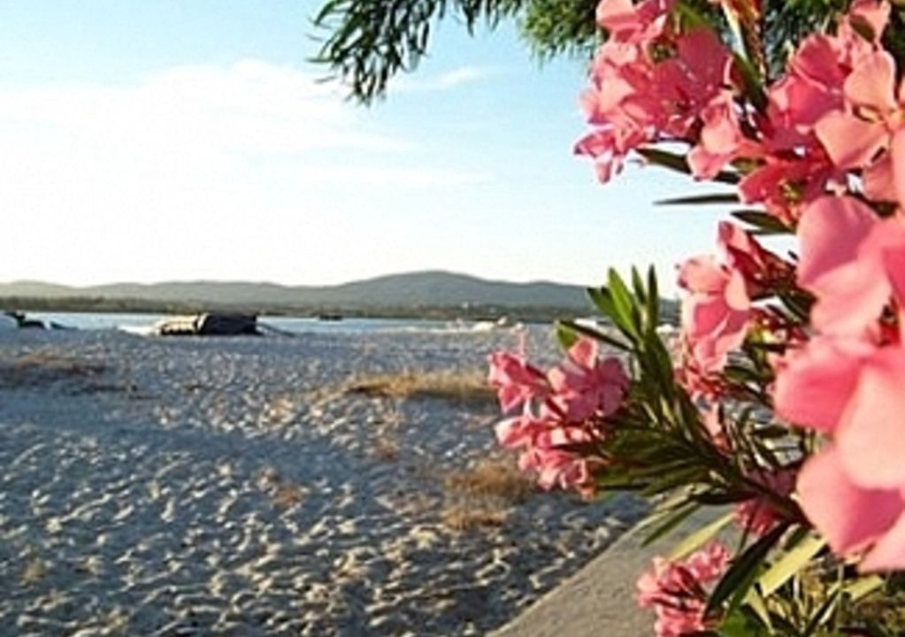 Photo of Others in Olhao