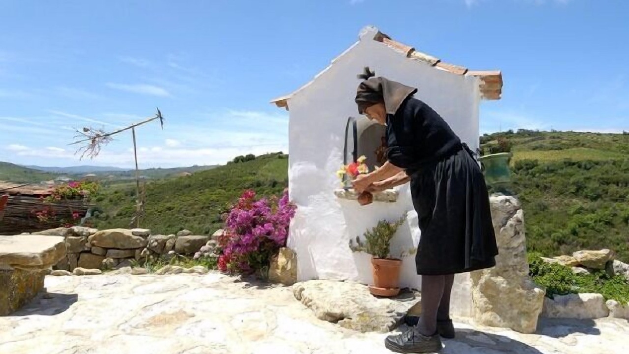 Photo of Outdoor in Aldeia da Mata Pequena