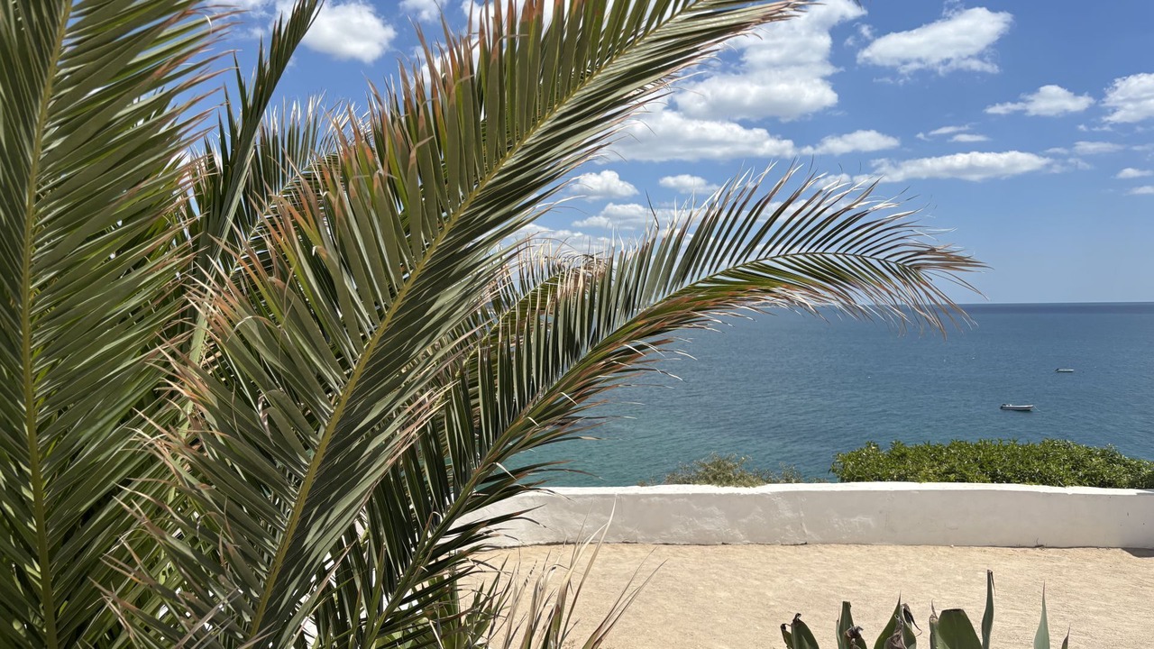 Photo of Outdoor in Alporchinhos
