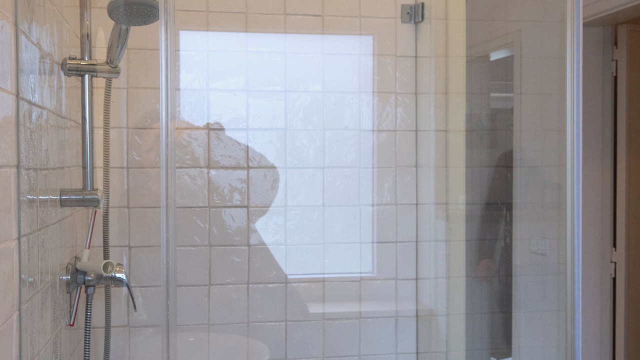 Photo of Bathroom in Tomar