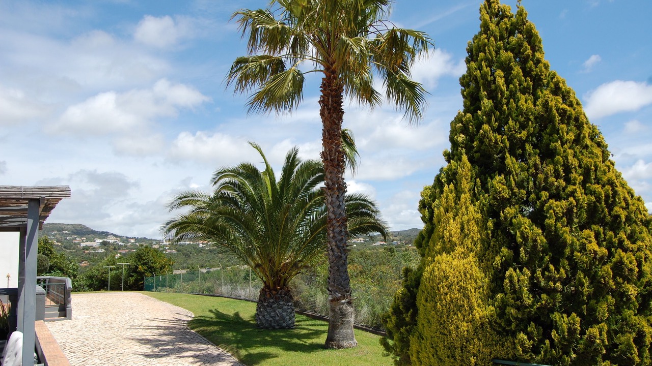 Photo of Outdoor in Aldeia
