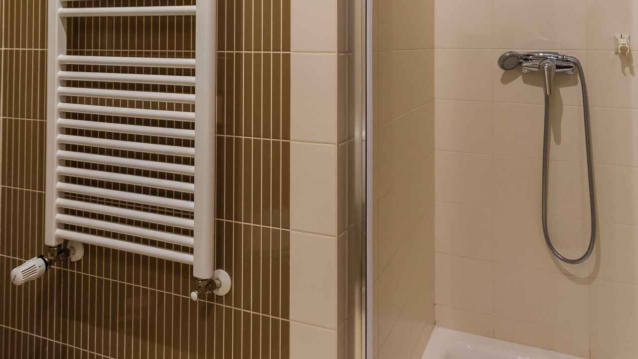 Photo of Bathroom in Tondela