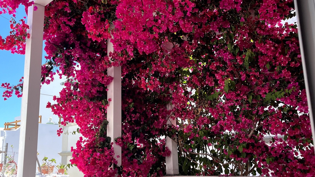 Photo of Outdoor in Olhao