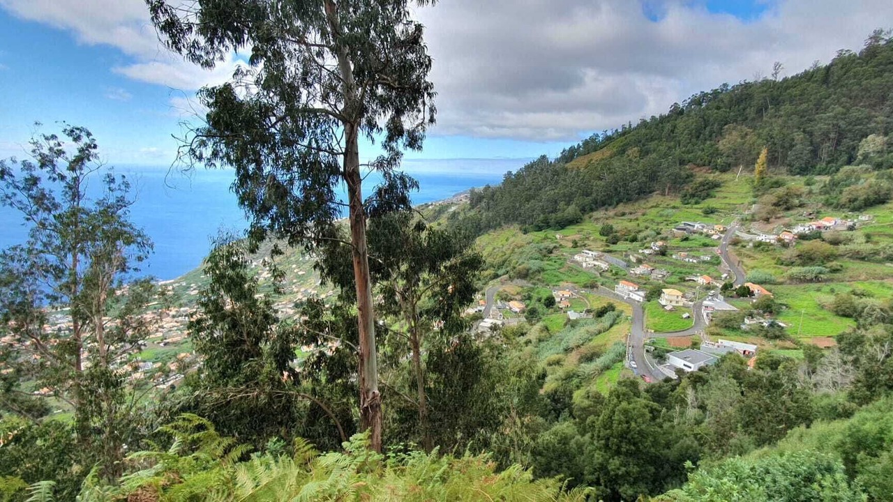Photo of Outdoor in Arco da Calheta