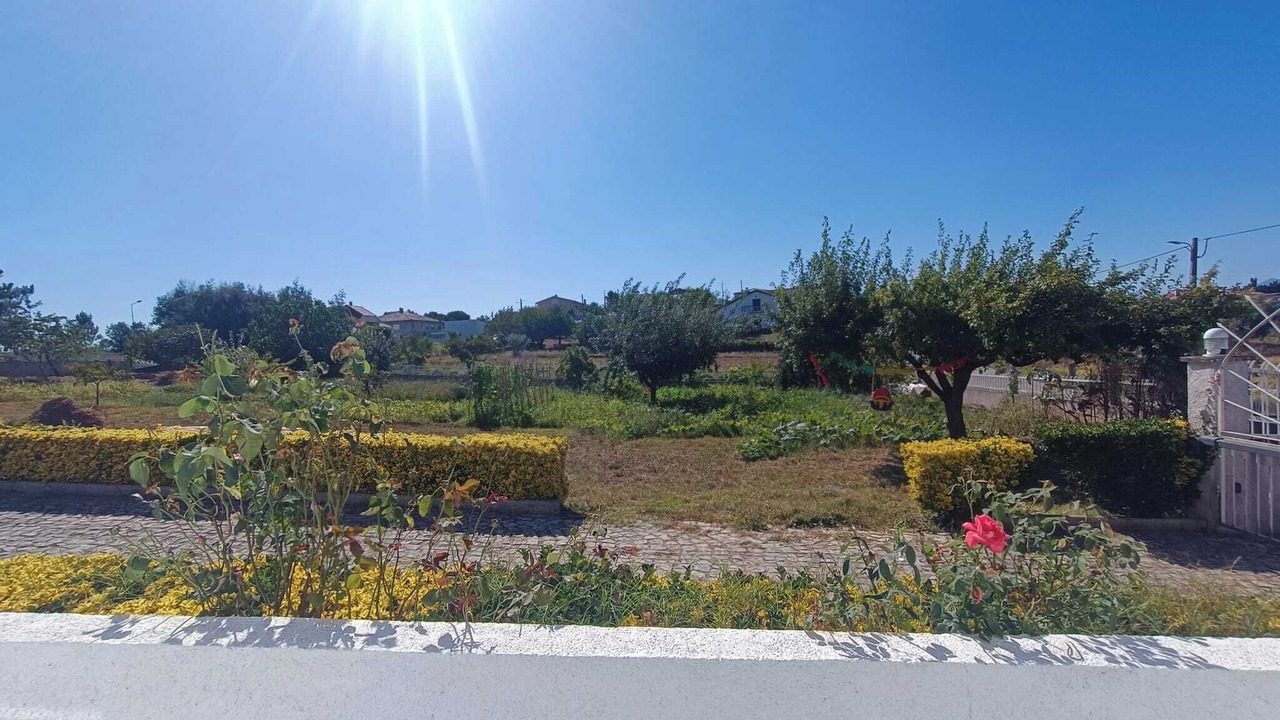 Photo of Outdoor in Penacova