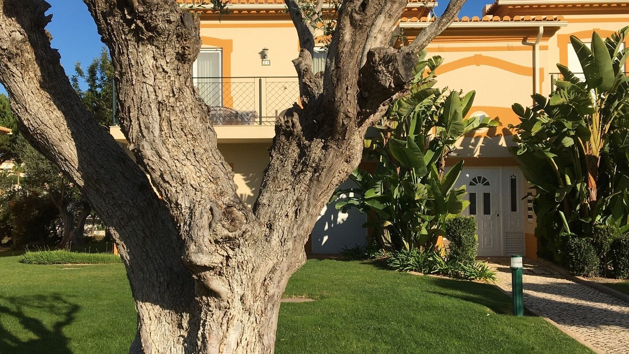 Photo of Outdoor in Atalaia