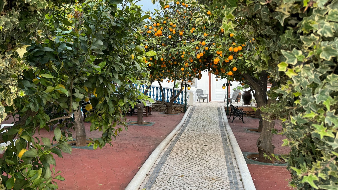Photo of Outdoor in Monte Raposo