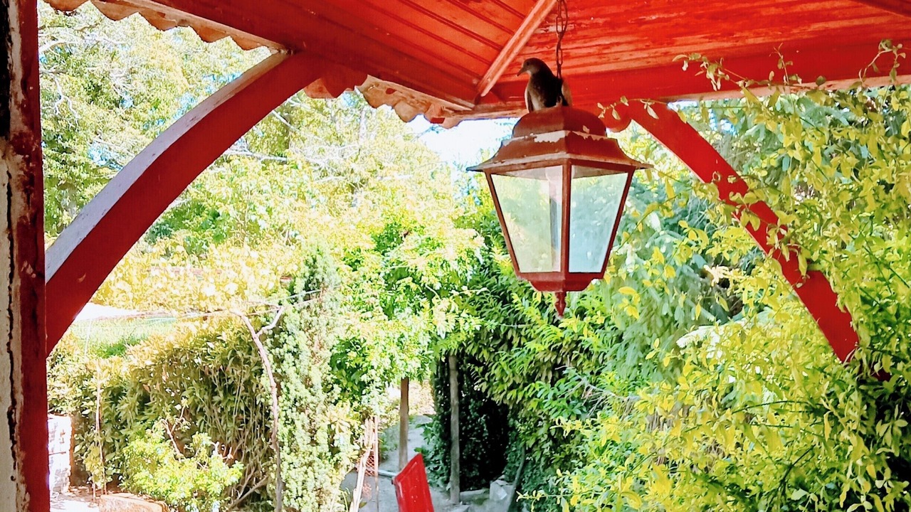 Photo of Outdoor in Braga