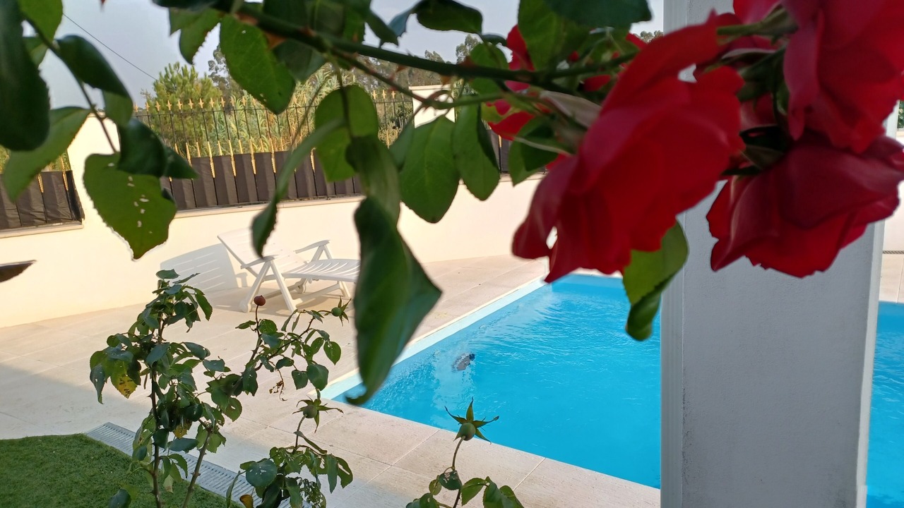 Photo of Outdoor in Casal dos Secos