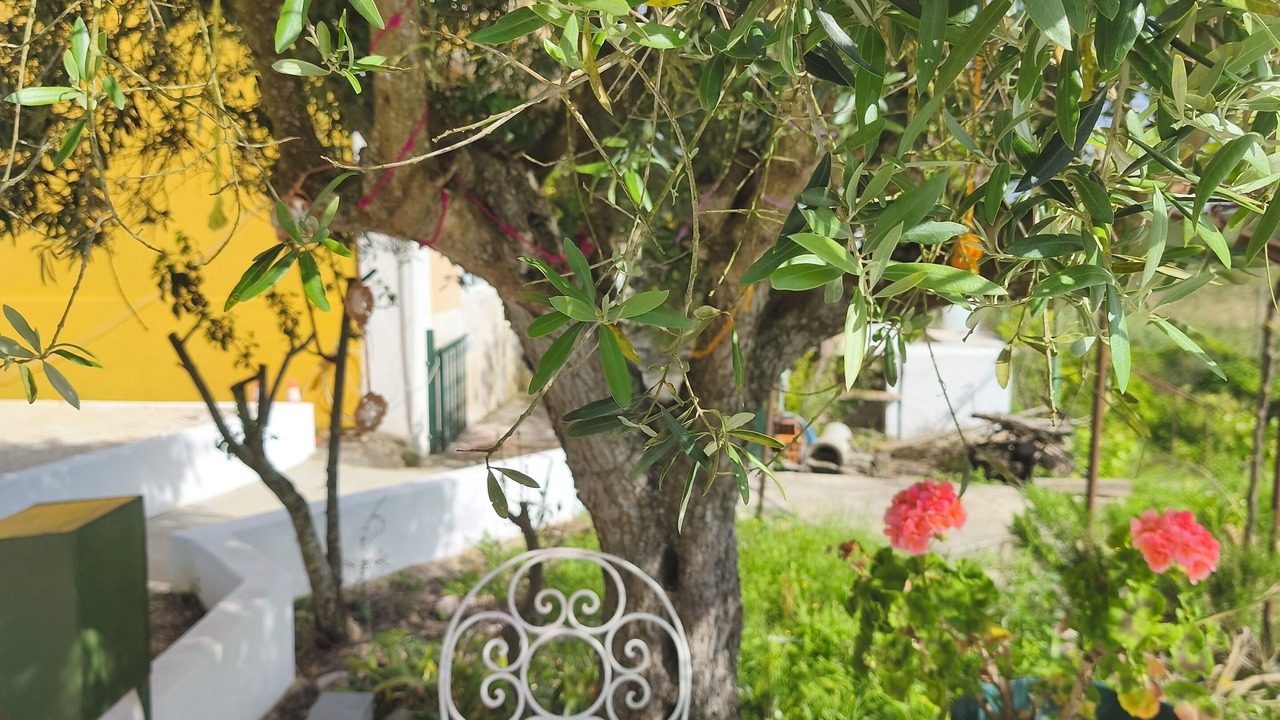 Photo of Patio Balcony in Cartaxo
