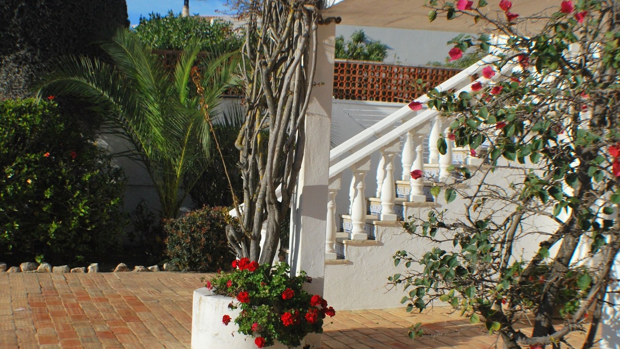 Photo of Outdoor in Vale Formoso