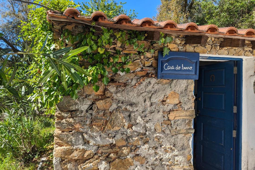 Photo of Others in Figueiro dos Vinhos