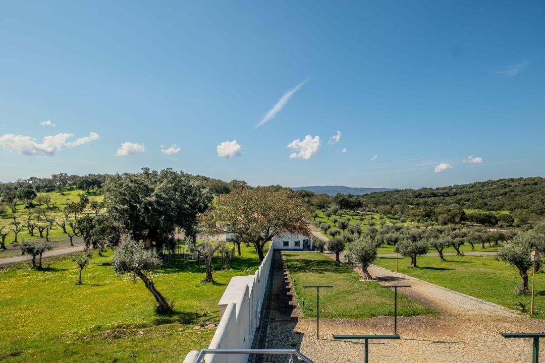 Photo of Others in Estremoz