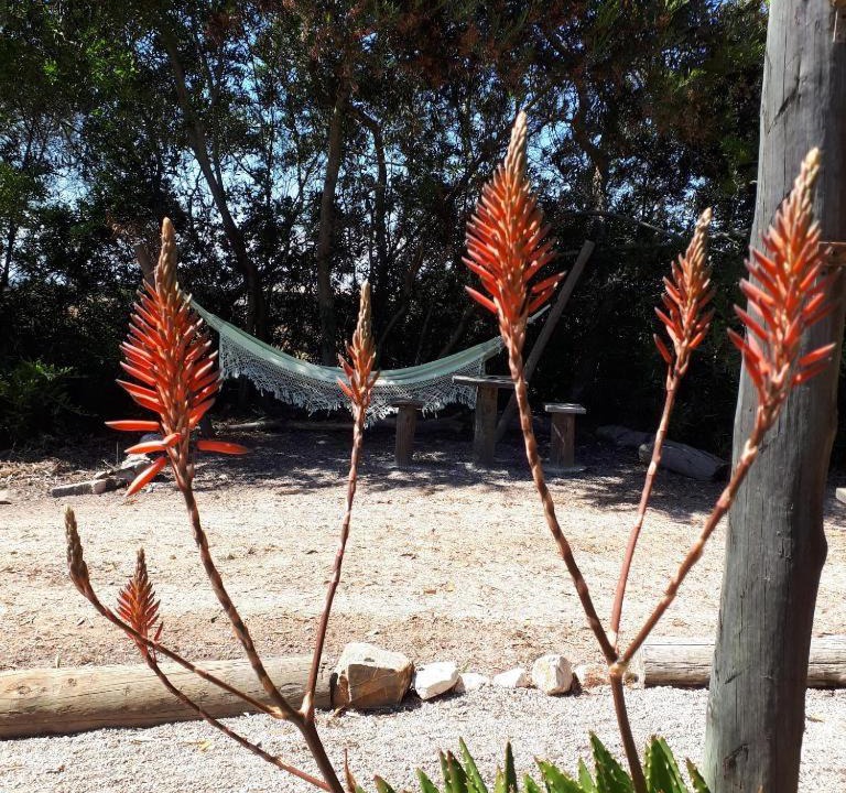 Photo of Outdoor in Zambujeira do Mar