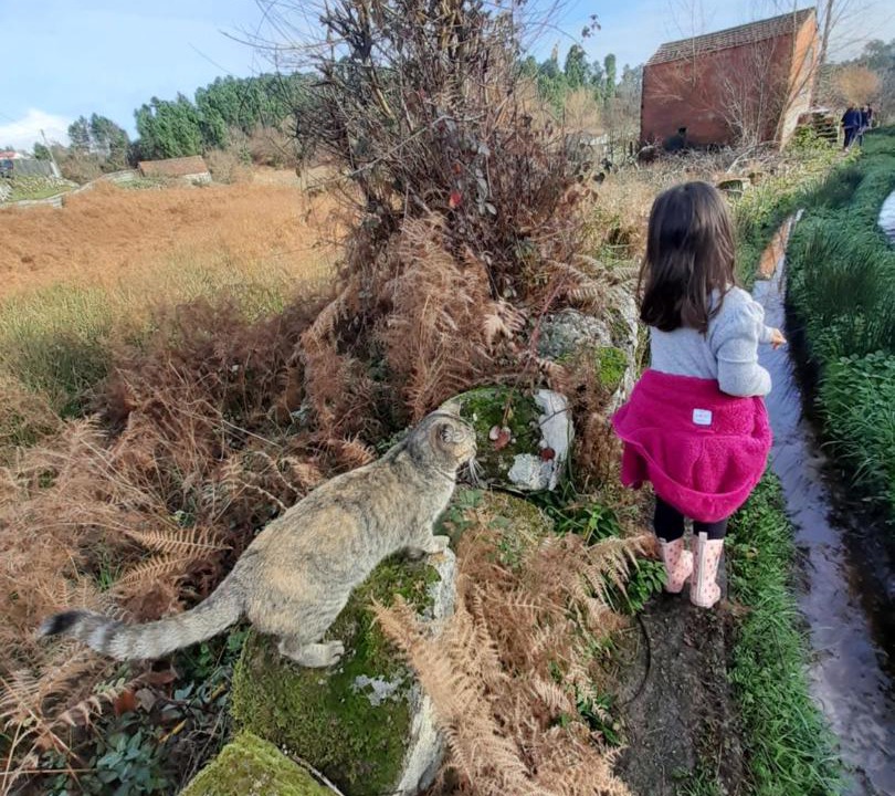 Photo of Others in Vila Real