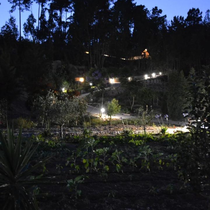 Photo of Others in Carvalhal Benfeito