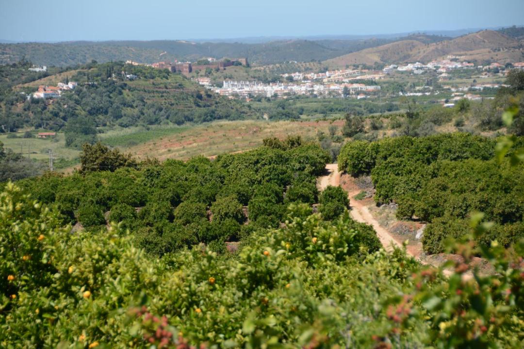 Photo of Others in Silves