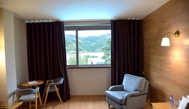 Douro Marina Hotel & SPA in Resende