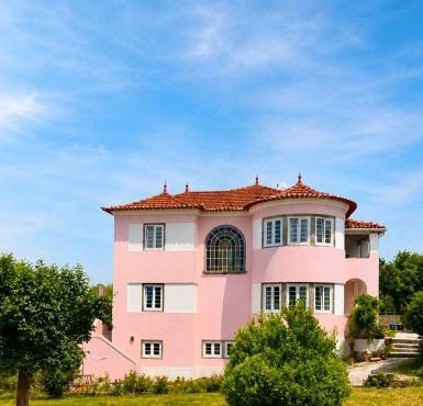Pink-Shell in Oliveira De Azemeis