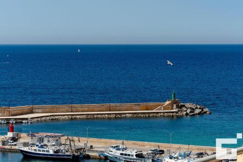 Topacio Calp 